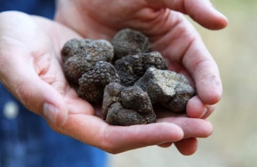 Rasteau Apartment | STUDIO IN RASTEAU Peaceful wine-growing village of Cotes du Rhône