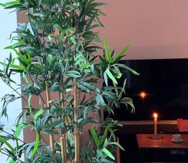 Saint-Roch - Badouillere - Chavanelle Apartment | Studio industriel, mezzanine, rénové, central 201