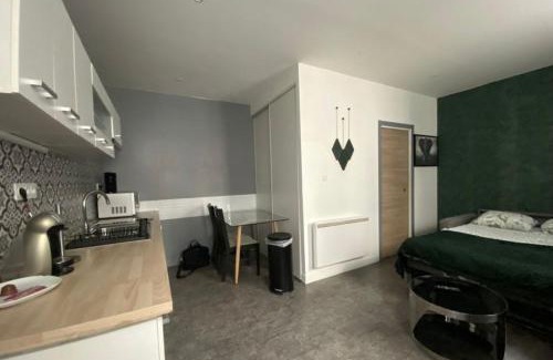 Jacquard - Prefecture Apartment | Studio Jean Jaurès - centre ville, Détente&Elégance