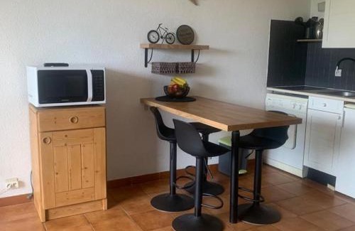 Le Lavandou Apartment | Studio L'Alicastre-4 by Interhome