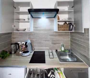 Huningue Apartment | Studio Le Maréchal - Près frontière et Netflix