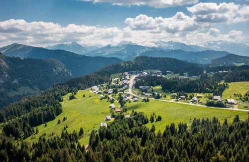Le Praz de Lys Apartment | Studio Les Pralyssimes