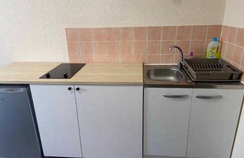 Jean Moulin - Marius Berliet Apartment | Studio meublé à Lyon Centre