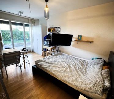 Alt-Wiedikon Apartment | Studio next to Sihlcity!