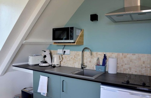 Nouan-sur-Loire Apartment | Studio on the banks of a Sologne pond, near Chambord and the Loire.