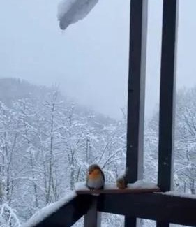 Notre-Dame-de-Bellecombe Apartment | Studio panoramique Notre-Dame-de-Bellecombe - 20 m² - balcon sud