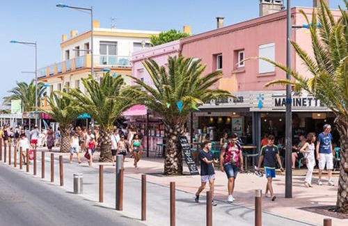 Plage d'Argeles Apartment | Studio rénové, 1ère ligne de plage, terrasse privée avec barbecue, climatisation, proche commerces - FR-1-732-13