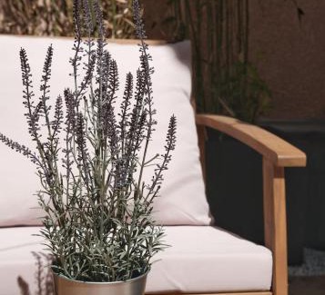 Grand Sud Apartment | Studio rénové avec belle terrasse