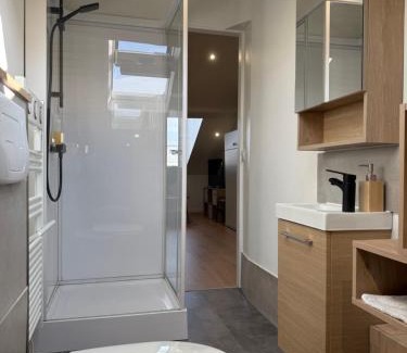 Rives de Meurthe Apartment | Studio secteur rives de meurthe