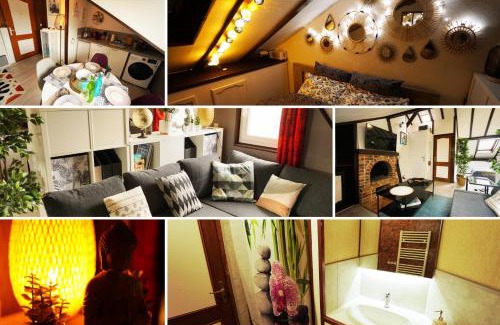 Anatole France Danton Apartment | Studio "Sous les Toits" - Charmant et calme - Gare et Tram à 4 min