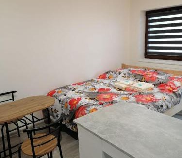 Trebon Apartment | Studio Třeboň