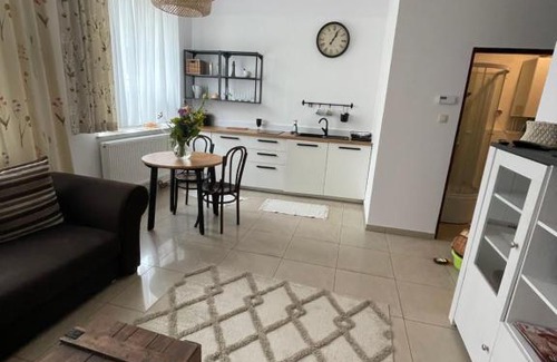 Grudziadz Apartment | Studio w Rynku