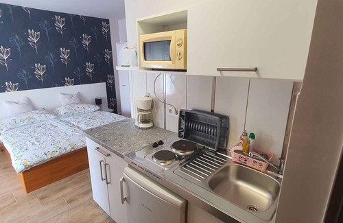 Heviz Apartment | Studio with air conditioning and internet near the city center