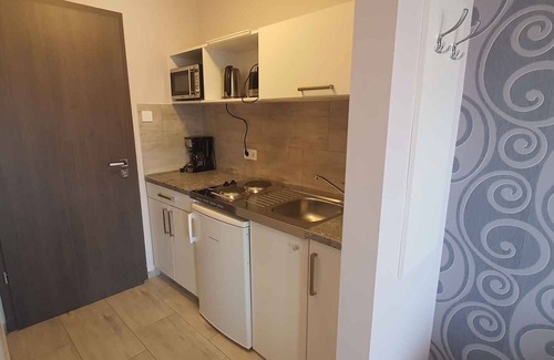 Heviz Apartment | Studio with air conditioning and internet near the city center