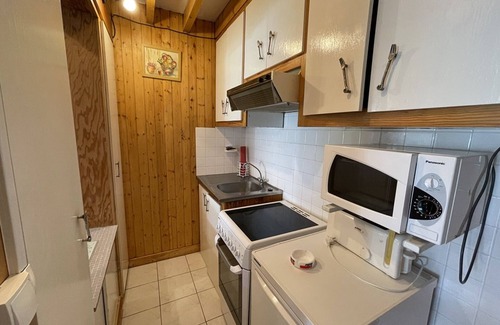 Laveissiere Apartment | Studio with balcony in the resort center, WiFi and pets allowed