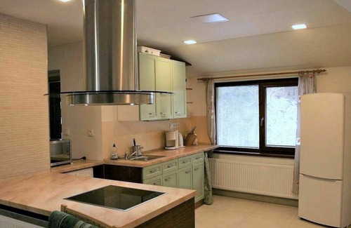 Stare Buky House | Stunning private villa with private pool, WIFI, hot tub, TV, terrace, pets allowed and parking