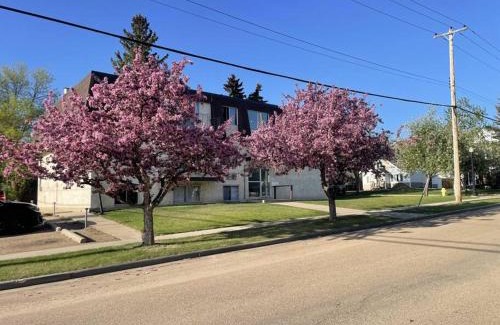 Camrose Apartment | Stunning 1 Bedroom Apartment