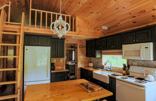 Dailey Cabin | Stunning Cabin/Mountain Hiking/National Forest!