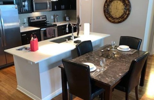 Texas Medical Center Apartment | Stunningly beautiful property in heart of Texas Medical Center - 2bdrm/2bath