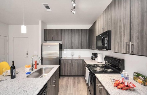 George Bush Park/Eldridge Apartment | Stylish Apt Pool Wi-Fi Parking