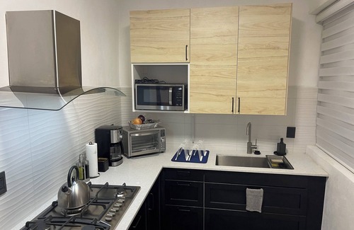 Del Carmen Apartment | Stylish Coyoacan Retreat