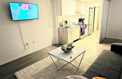 Downtown Toronto Apartment | Stylish luxe Apartment one bedroom with one sofa bed