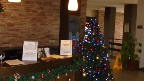 Razlog Resort | Stylish Studio Apart Aspen Golf Resort