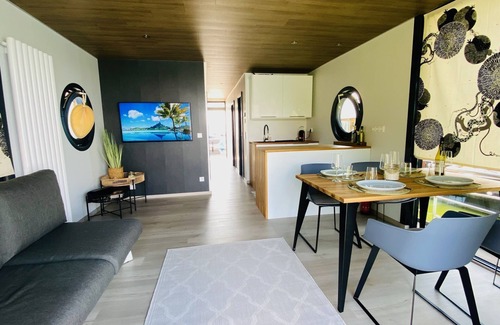 Brandt Boat Rental | Stylish vacation apartment/holiday home on a houseboat/yacht near Roermond (NL)