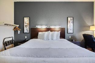 Ocoee Hotel | Suburban Studios Orlando - Ocoee-Winter Garden