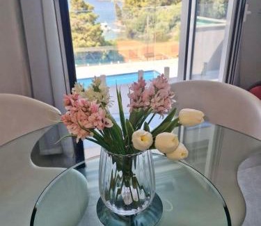 Suha Punta Apartment | Suha Punta LUXURY apartments first row to the sea