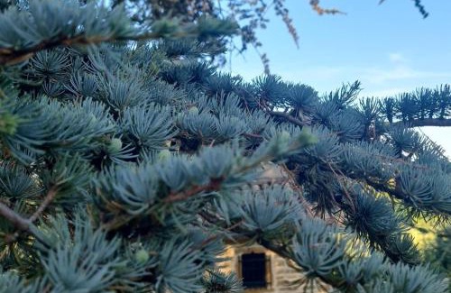 Le Villars Bed & Breakfast | Suites Le Domaine de la Roche Bernard