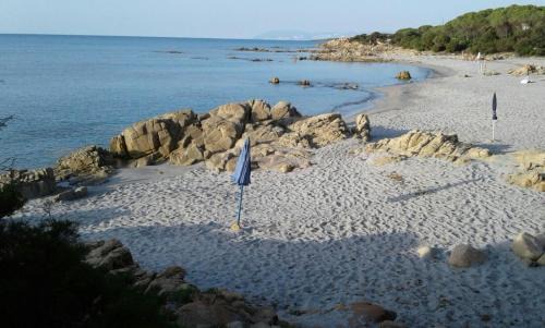 Cala Liberotto Apartment | Summer Time