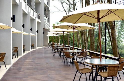 Yuchi Hotel | Sun Moon Lake Bamboo Rock Garden