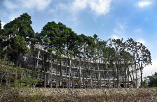 Yuchi Hotel | Sun Moon Lake Bamboo Rock Garden