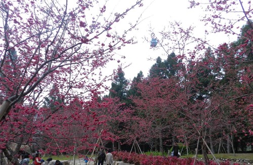 Yuchi Hotel | Sun Moon Lake Youngquan Hotels