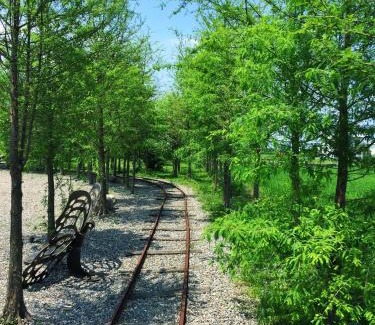 Dongshan Villa | Sunday Homestay