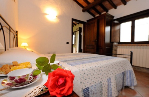Giano dell'Umbria Other | Sunflower Apartment with pool