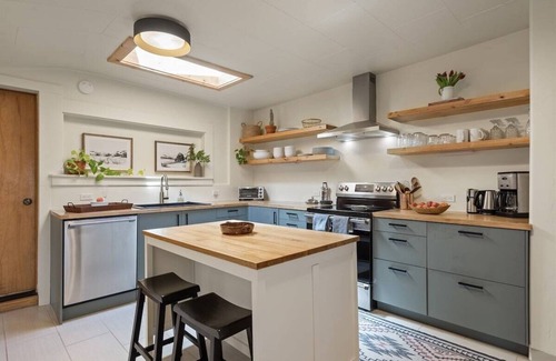 Carbondale House | Sunflower House | Historic Gem Steps from Main St.