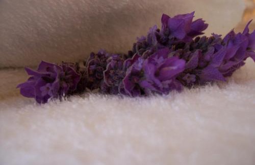 Plettenberg Bay House | Sunshowers Plett