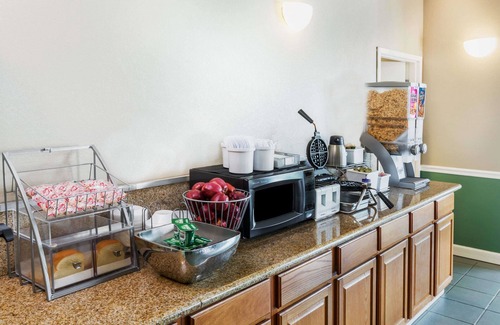 Madison Hotel | Super 8 by Wyndham Madison/Ridgeland Area