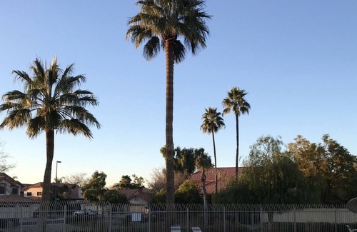 The Islands House | Super Bowl House