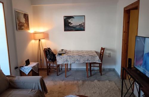 Karpenisi Apartment | Super central apartment with a view