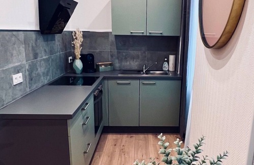 Mulhouse Apartment | Superb equipped studio - Mulhouse ville