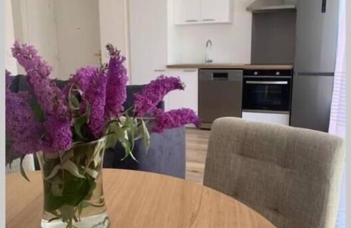 Evian-les-Bains Apartment | Superbe Appartement Evian