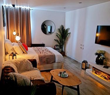 Saint-Etienne Apartment | Superbe appartement privé avec jacuzzi