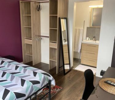 Vandoeuvre-les-Nancy Apartment | Superbe Chambre parentale avec salle de bains privée et WC privés, wifi, cuisine