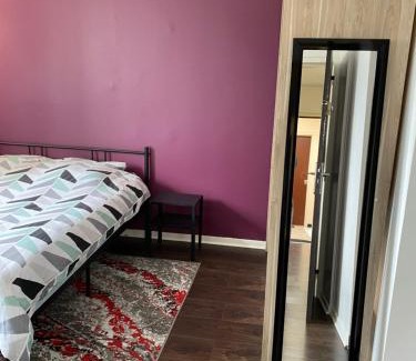 Vandoeuvre-les-Nancy Apartment | Superbe Chambre parentale avec salle de bains privée et WC privés, wifi, cuisine