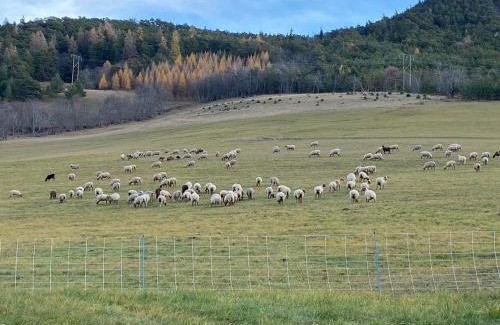 Barcelonnette Ski Chalet | Superbe ferme rénovée en chalet de luxe en PLEINE NATURE