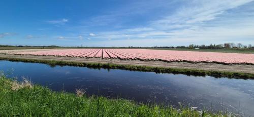 Anna Paulowna House | Superior Familiekamer 4 personen OF Privékamer 2 personen