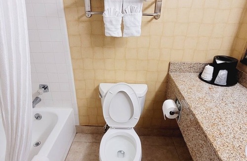 East Forest Hotel | SureStay by Best Western Charlotte Matthews